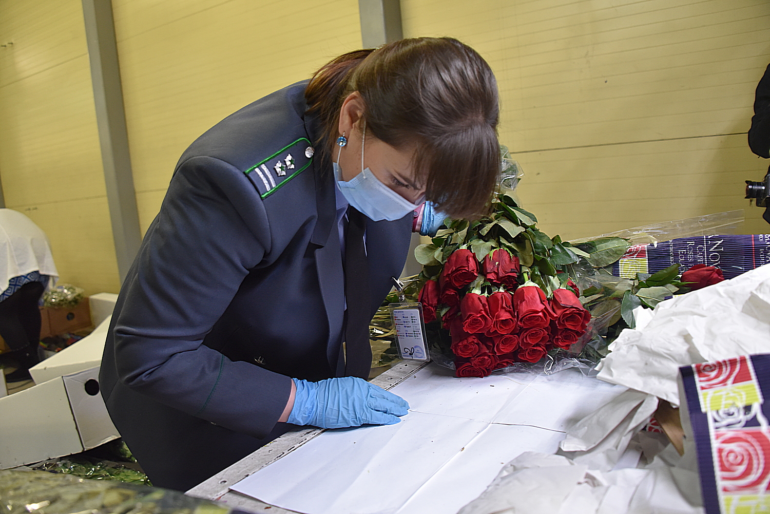 Фоторепортаж: сегодня в Екатеринбург доставили сто тонн цветов со всего  света - «Уральский рабочий»